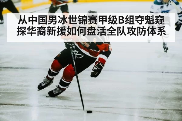 ice hockey player skating