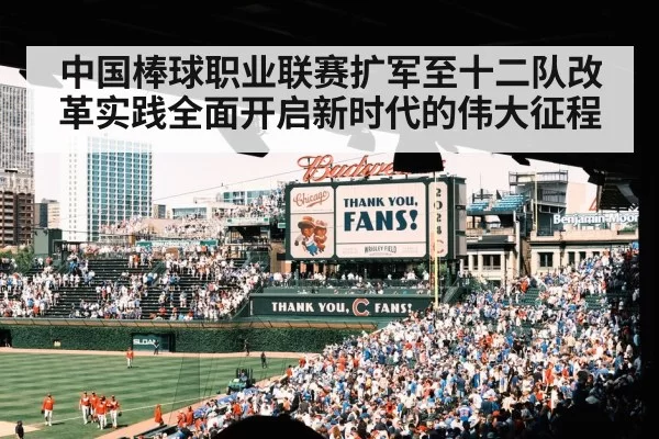 baseball fans stadium
